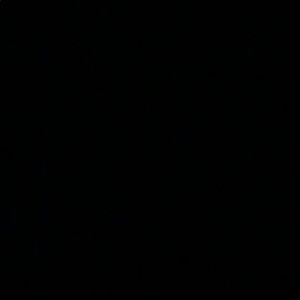 Meet your Posher, Bryana